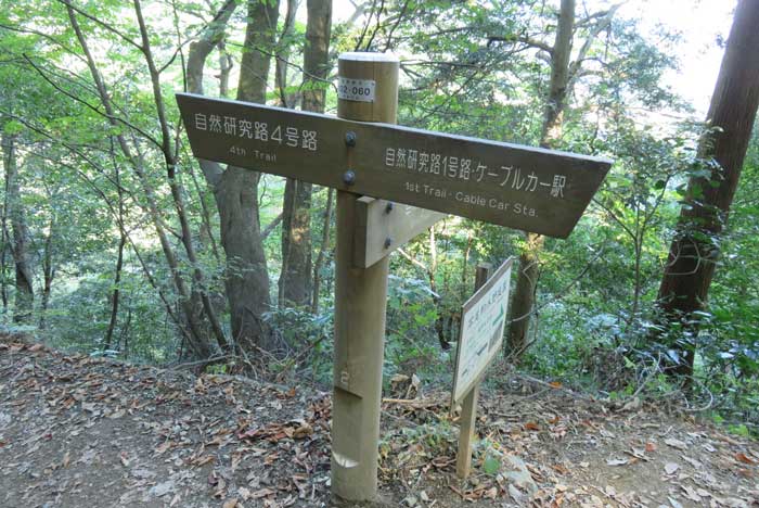 高尾山 吊り橋コースの標識