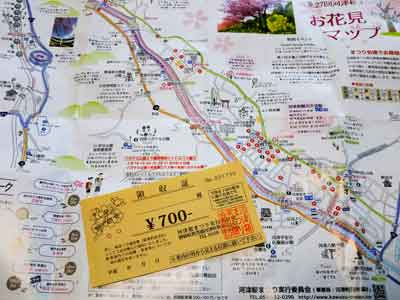河津桜パンフレットと領収書