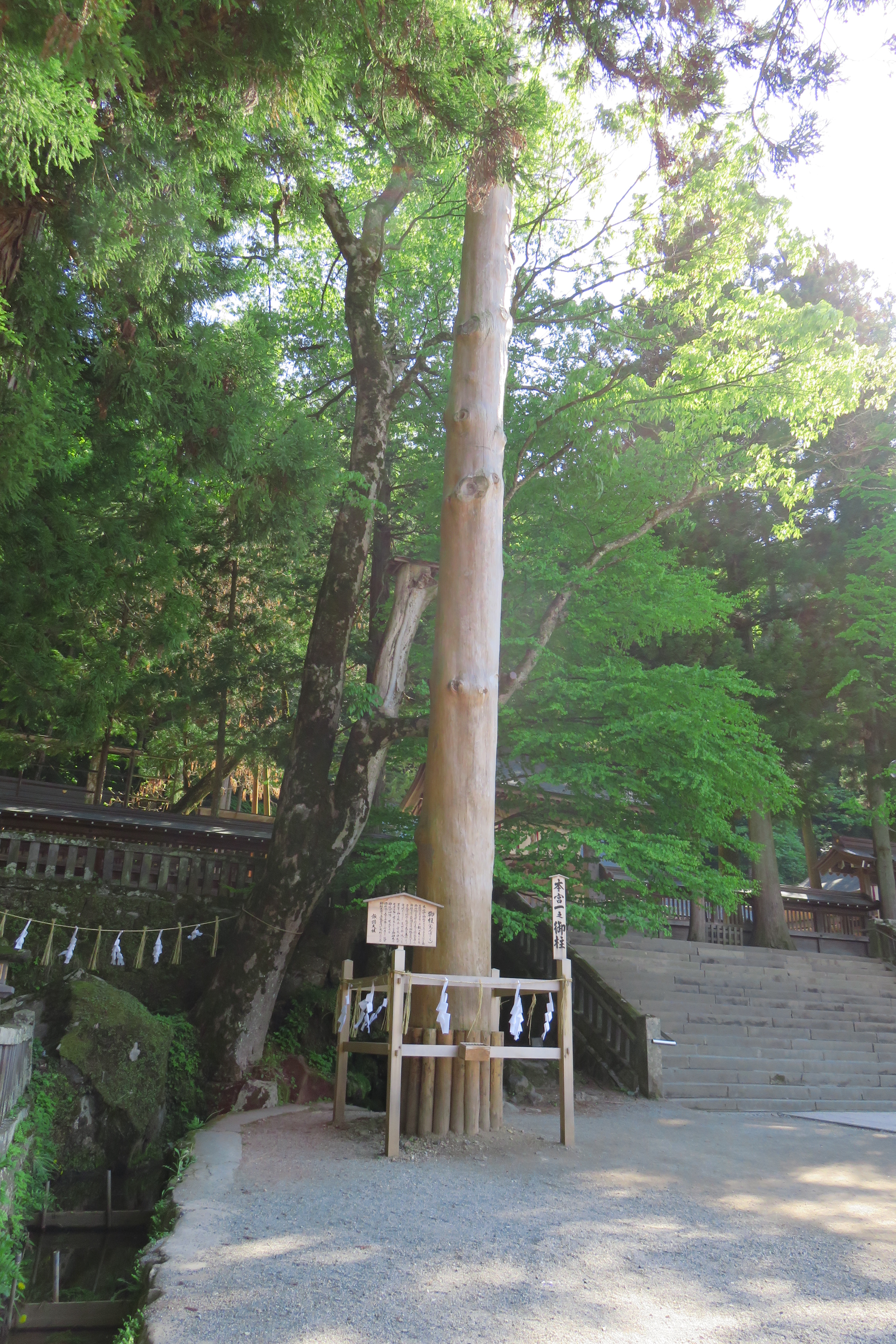 諏訪神社　本宮一之御柱