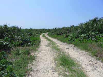 高那崎